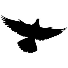 Concept of love or peace silhouettes doves