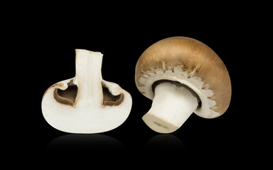 Champignons weiß braun halbiert mit Spiegelung freigestellt auf schwarzem Hintergrund