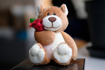 Teddybär mit Rose
