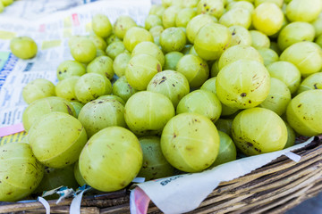 Amla Früchte (Indische Stachelbeere)