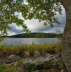 Russia. Republic of Karelia. Islands on the North-West coast of lake Ladoga near the town of Sortavala.