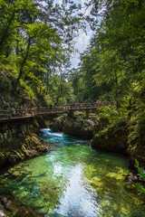 Gole del Vintgar, Slovenia