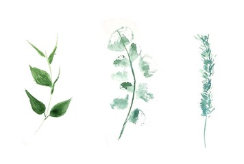 branch with green leaves, watercolor set on the white background
