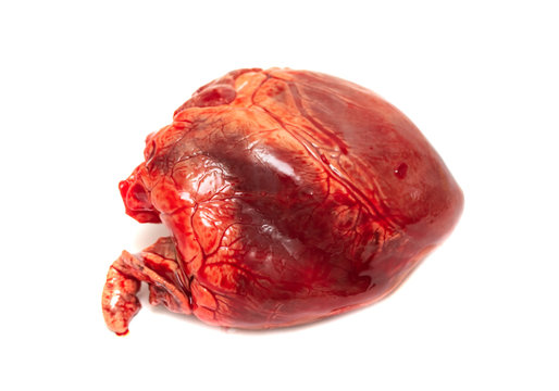 meat heart on white background