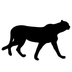 Silhouette of the Lynx on a white background