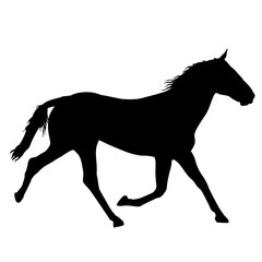 Animal silhouette of black mustang horse illustration