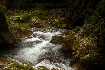 Fototapeta premium Gole del Vintgar, Slovenia