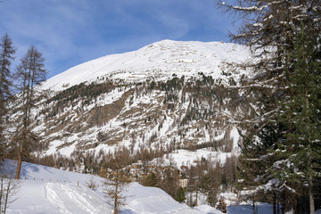 Fototapeta na wymiar Piz Rosatsch, aus Sicht Pontresina, Graubünden, Schweiz