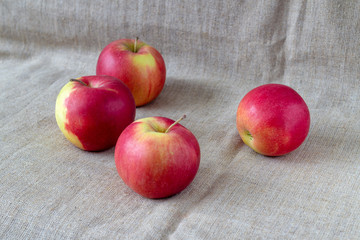 Apples on canvas