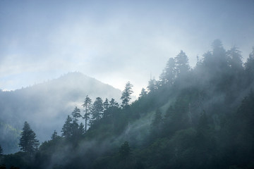 Misty mountains in Smokey mountains 