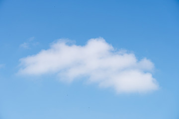 The sky is full of moving clouds. Feel free and enthusiastic. Suitable to use as a background image.