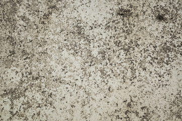 mildewed wall background