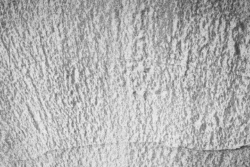 cement background in gray