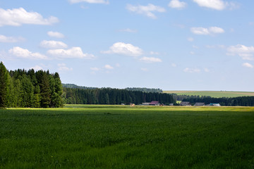 Russia. View of the village. Summer rural landscape with houses