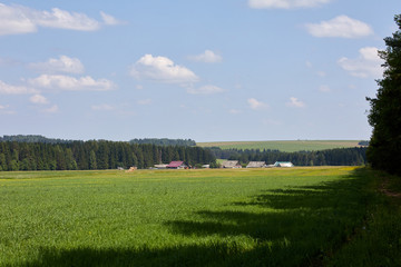 Russia. View of the village. Summer rural landscape with houses