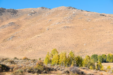 Petersen Mountain Range, Nevada