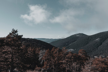 Mountains and wild forests during the winter