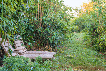Obraz premium Two lounge chairs in the greenery. Bamboo, sunlight