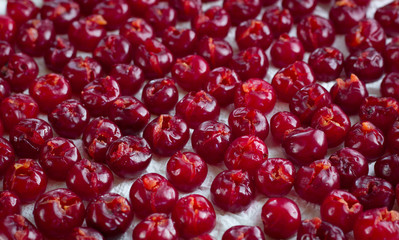 Background of fresh mellow cherries prepared for cooking for conservation