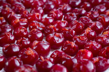Background of fresh cherries prepared for  sun drying for conservation