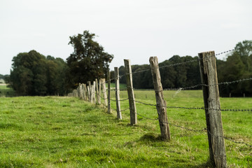 fences at the edge of the forest 