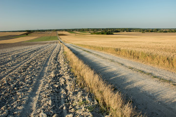 Fototapeta na wymiar Very long gravel road through mown and plowed fields, horizon and blue sky