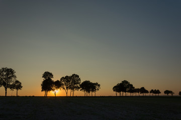 Fototapeta na wymiar Sunset behind trees and cloudless evening sky