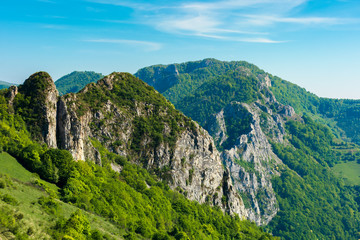 beautiful landscape of romania mountains. forested hills and huge cliffs of canyon. wonderful nature scenery. sunny weather in springtime