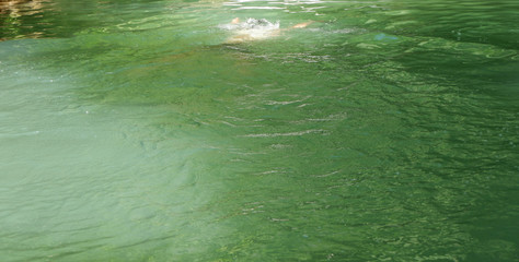 view of the flowing water surface to become a background
