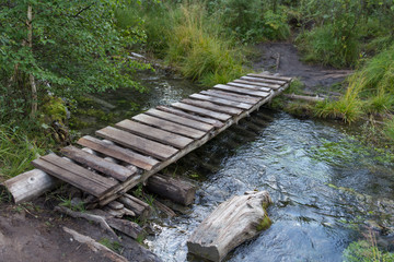 Old small bridge through a river in a forest