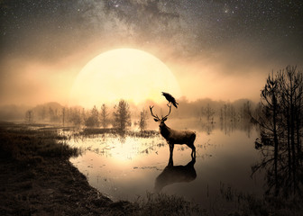 Surreal photo of a deer in a lake