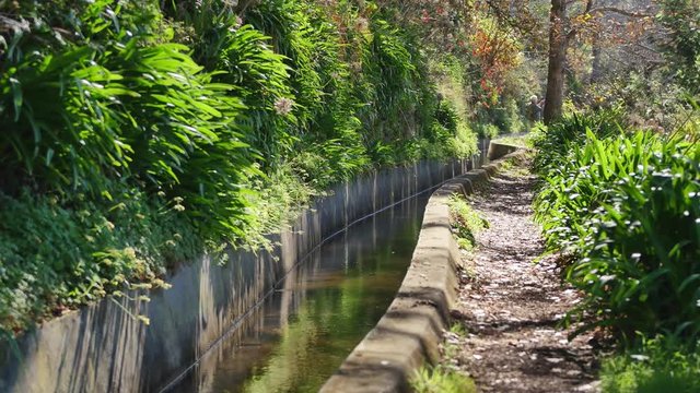 Levada  dos Tornos, Madeira. Beautiful footpath in spring sunlight.