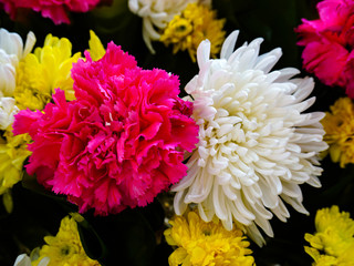 Close-up colorful spring bouquet with many different flowers.Beautiful flowers background