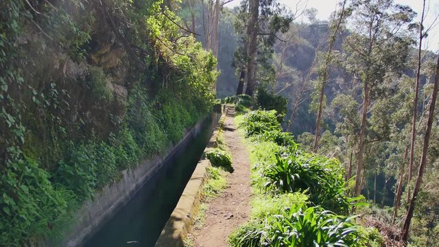 Levada  dos Tornos, Madeira. Beautiful footpath in spring sunlight.