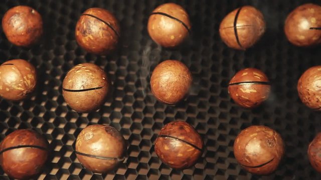 macadamia nut smoke dark background hd footage nobody 