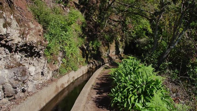 Levada  dos Tornos, Madeira. Beautiful footpath in spring sunlight.