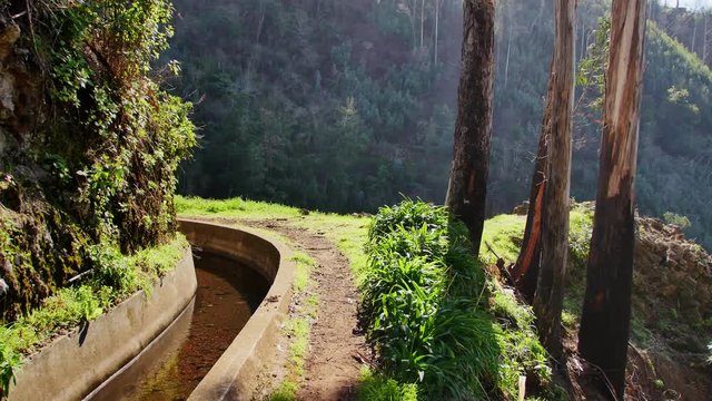 Levada  dos Tornos, Madeira. Beautiful footpath in spring sunlight.