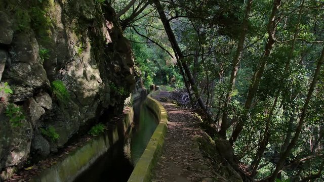 Levada  dos Tornos, Madeira. Beautiful footpath in spring sunlight.
