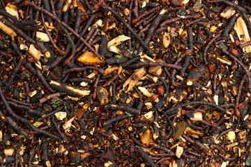 Wood chips. Natural background. Dark ecological background.
