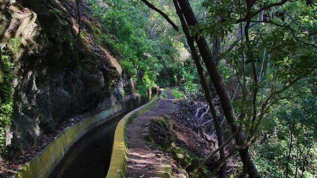 Levada  dos Tornos, Madeira. Beautiful footpath in spring sunlight.