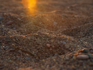 Sand close up during the sunset at the beach