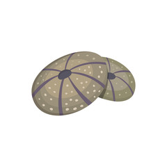 Sea shell vector icon in cartoon style.