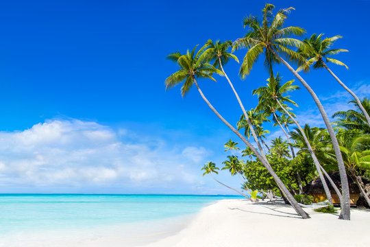 Strand, 