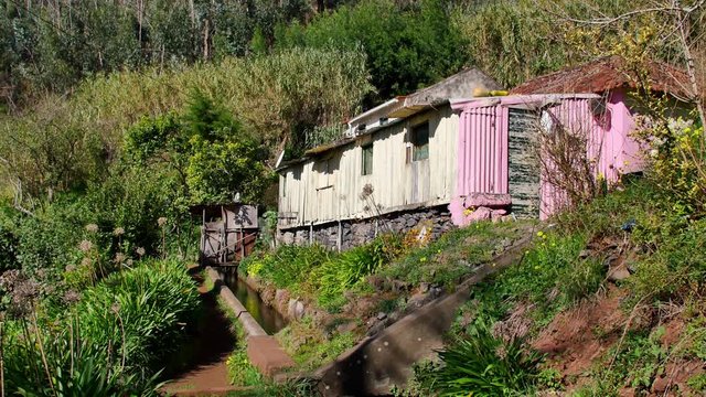 Levada  dos Tornos, Madeira. Beautiful footpath in spring sunlight.