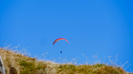 paraglider in the sky