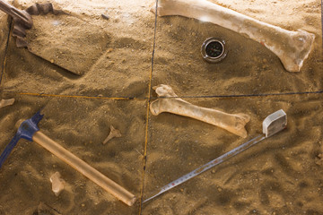 An antiquities excavation site. tools and exhibits found