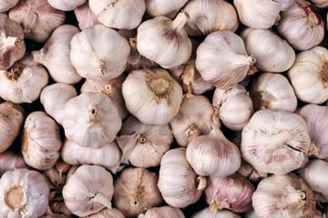 Vitamin healthy food spice image. Spicy cooking ingredient picture. White garlic pile texture. Fresh garlic market table closeup photo. Pile white garlic head heap top view.