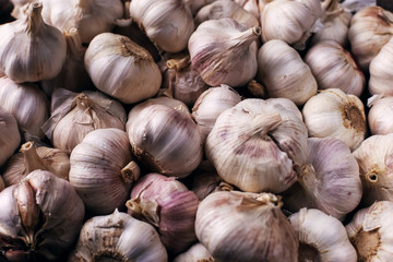 Vitamin healthy food spice image. Spicy cooking ingredient picture. White garlic pile texture. Fresh garlic market table closeup photo. Pile white garlic head heap top view.