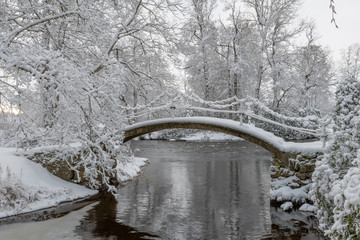 Scandinavian Winter Landscape