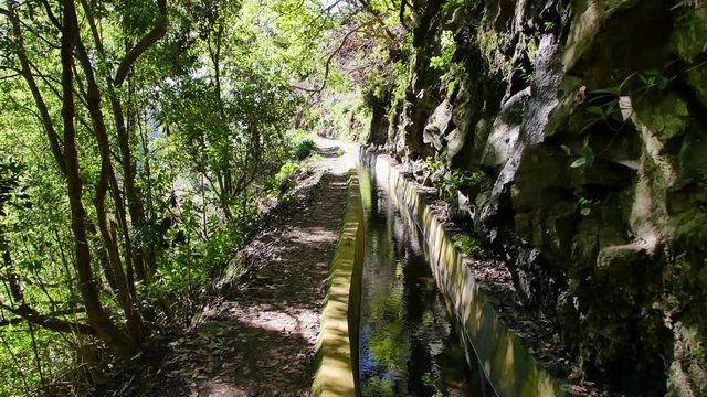 Levada  dos Tornos, Madeira. Beautiful footpath in spring sunlight.